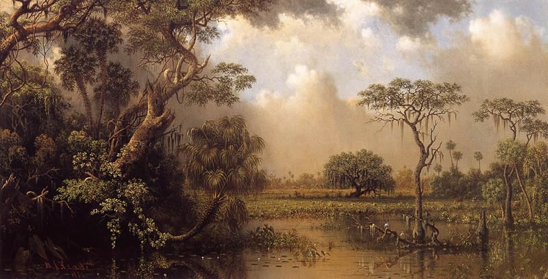 Martin Johnson Heade The Great Florida Marsh